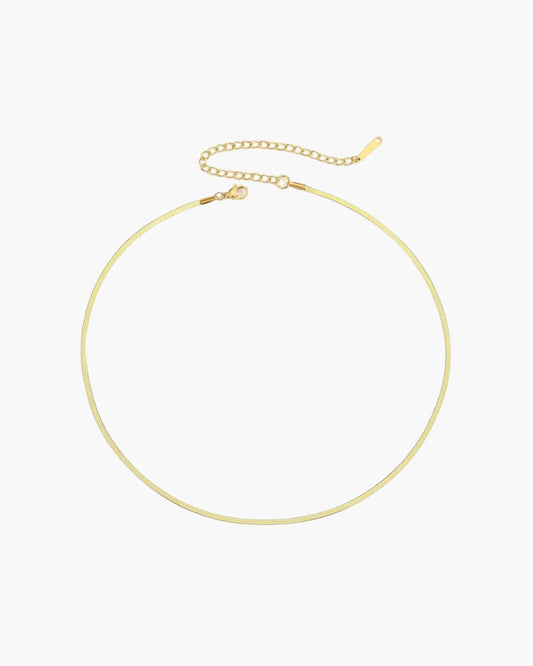 Sereine Fine Chain Necklace